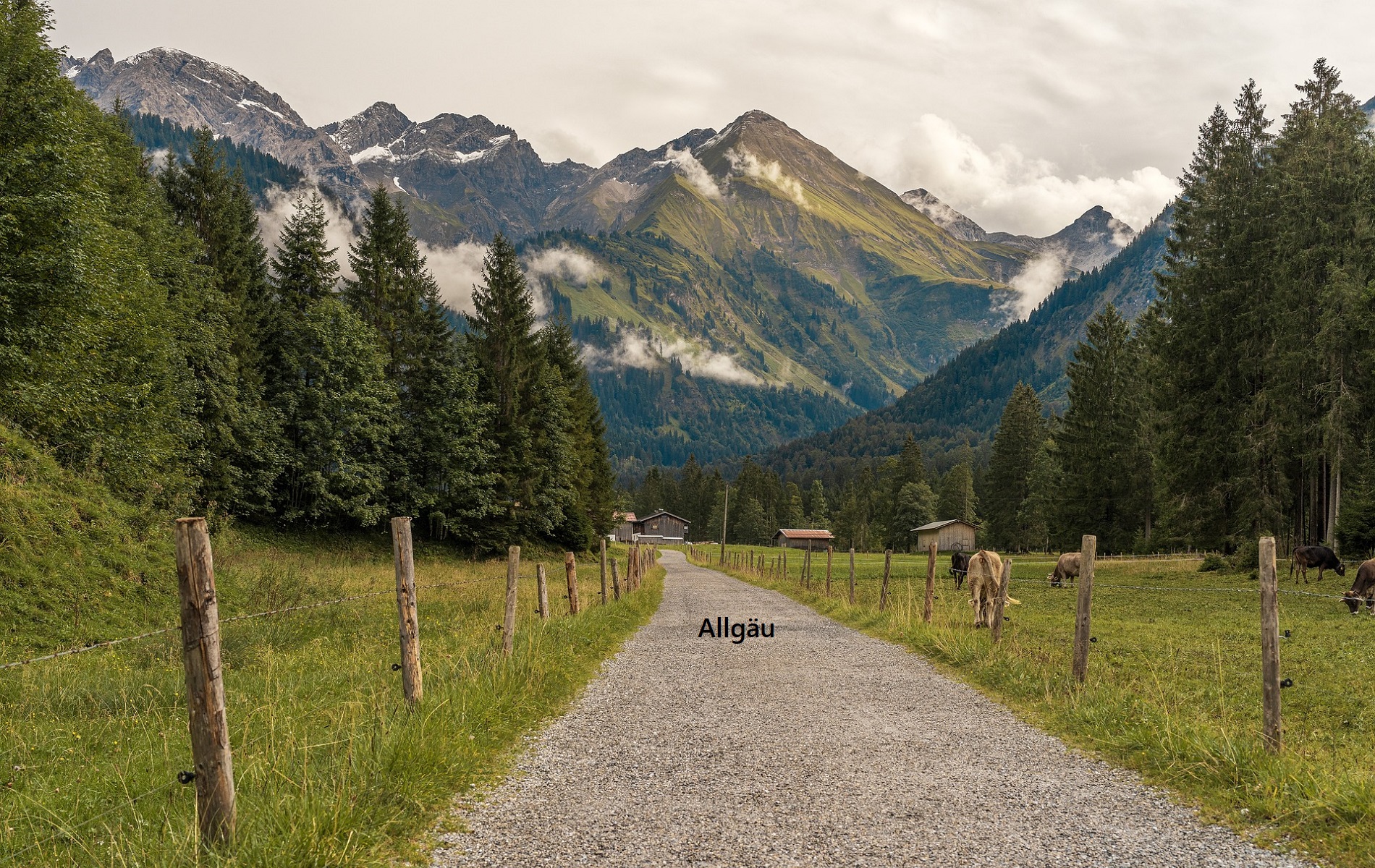 Durch das Allgäu radeln